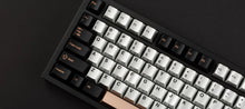 Load image into Gallery viewer, Aluvia Keycaps BNIB-Alu Case briefcase Included.