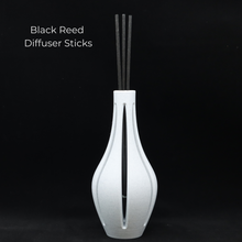 Load image into Gallery viewer, Modern Vase with Glass Tube for Plant Propagation or Essential Oil Diffuser Sticks