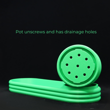 Load image into Gallery viewer, Desk Planter with Valet Tray and screw off drainage tray