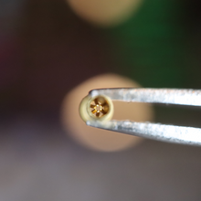 Load image into Gallery viewer, Sockets for hot swap. Chill-max? Stupid Sockets?