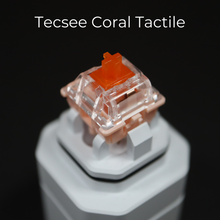 Load image into Gallery viewer, Tecsee Coral