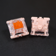 Load image into Gallery viewer, Tecsee Coral