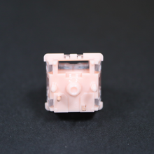 Load image into Gallery viewer, Tecsee Coral