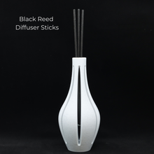 Load image into Gallery viewer, Modern Vase with Glass Tube for Plant Propagation or Essential Oil Diffuser Sticks
